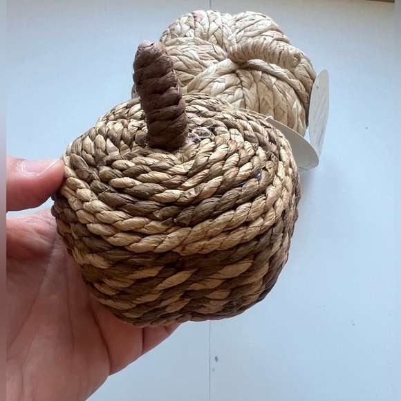Threshold Natural Braided Rope Pumpkin Set - Picture 3 of 6